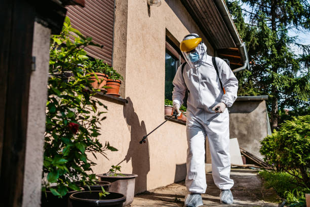 Best Flea Control Services  in Prichard, AL