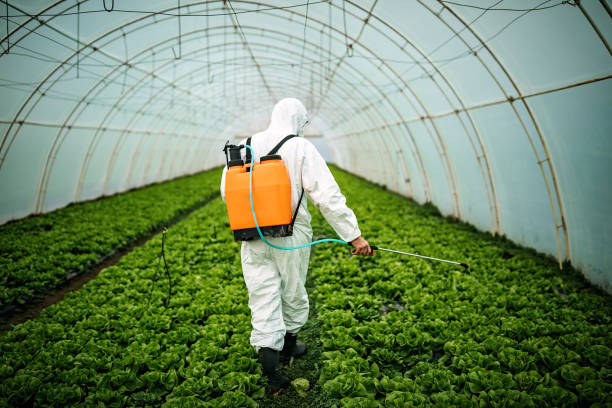 Best Pest Control for Businesses  in Prichard, AL