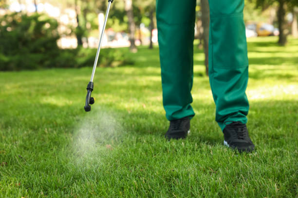 Best Pest Inspection Near Me  in Prichard, AL