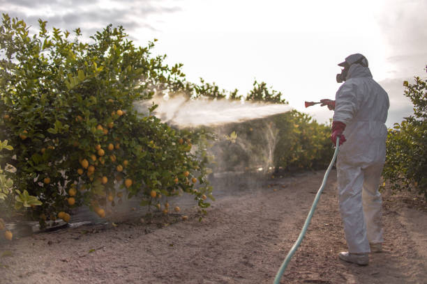 Best Exterminator Services  in Prichard, AL