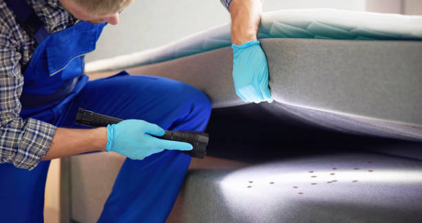Best Flea Control Services  in Prichard, AL