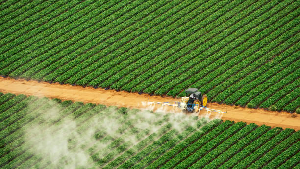 Best Pest Control Near Me  in Prichard, AL