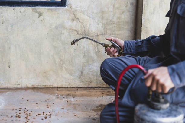 Best Local Pest Control Services  in Prichard, AL